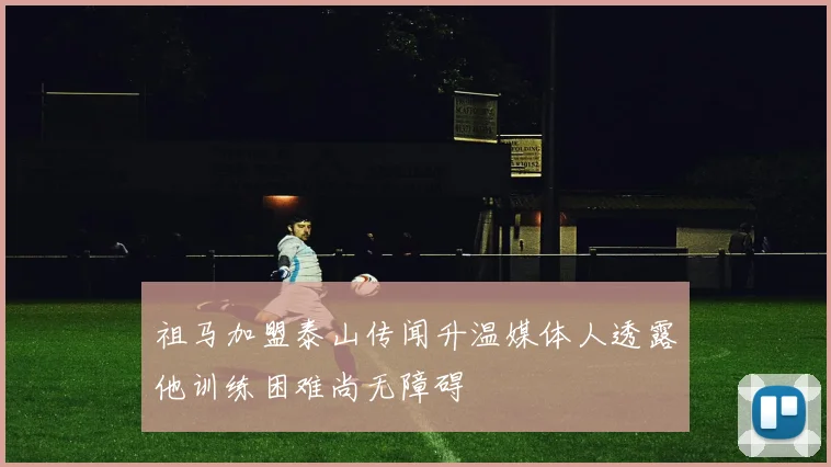 祖马加盟泰山传闻升温媒体人透露他训练困难尚无障碍