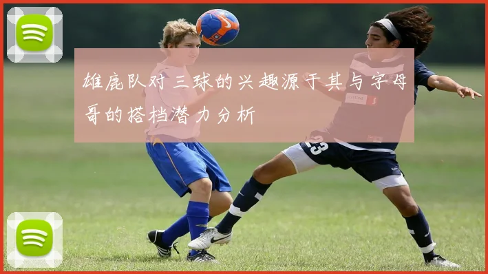 雄鹿队对三球的兴趣源于其与字母哥的搭档潜力分析