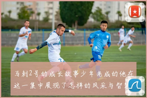 马刺2号的成长故事少年老成的他在这一集中展现了怎样的风采与智慧