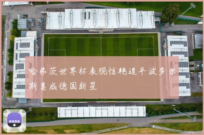 哈弗茨世界杯表现惊艳追平波多尔斯基成德国新星